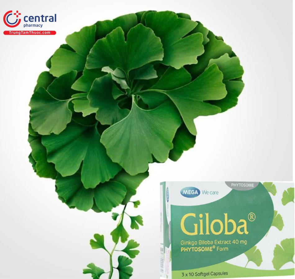 Giloba 80 tăng cường chức năng hệ thống thần kinh