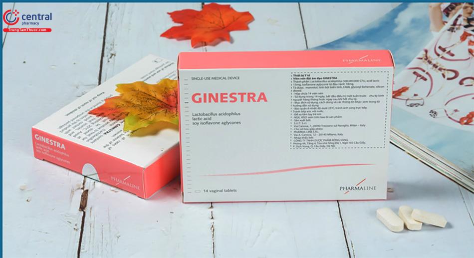 Ginestra - Giải pháp cho "cô bé" khỏe mạnh