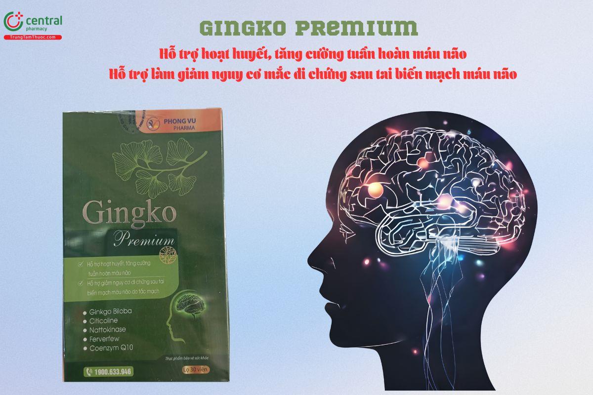 Gingko Premium giúp hoạt huyết, tăng cường tuần hoàn máu não