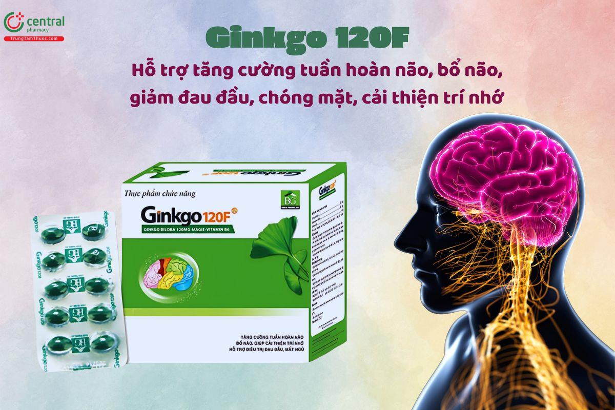 Ginkgo 120F giúp bổ não, cải thiện trí nhớ, giảm đau đầu, mất ngủ