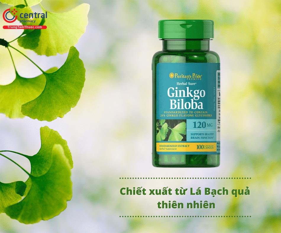 Thành phần của Ginkgo Biloba 120mg Puritan’s Pride