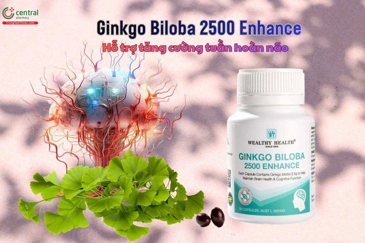 Ginkgo Biloba 2500 Enhance hỗ trợ tăng cường tuần hoàn não