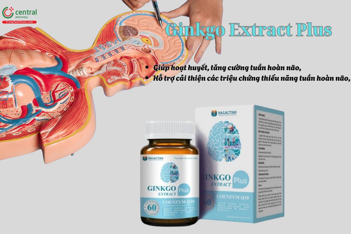 Viên uống Ginkgo Extract Plus giúp hỗ trợ phục hồi sau tai biến