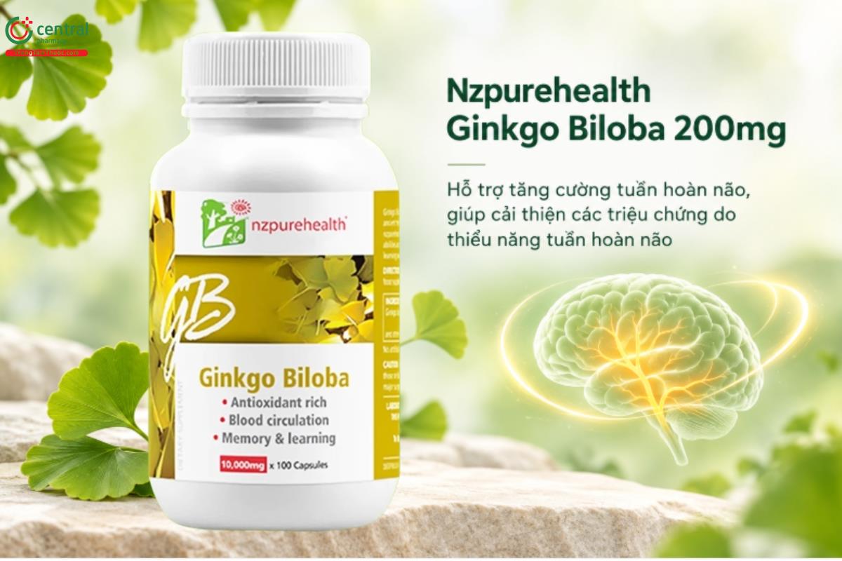 Nzpurehealth Ginkgo Biloba 200mg hỗ trợ tăng cường tuần hoàn não, giúp cải thiện các triệu chứng do thiểu năng tuần hoàn não