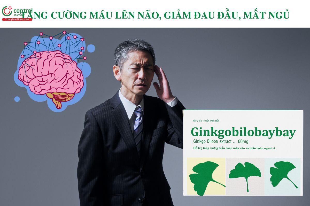 Công dụng Ginkgobilobaybay