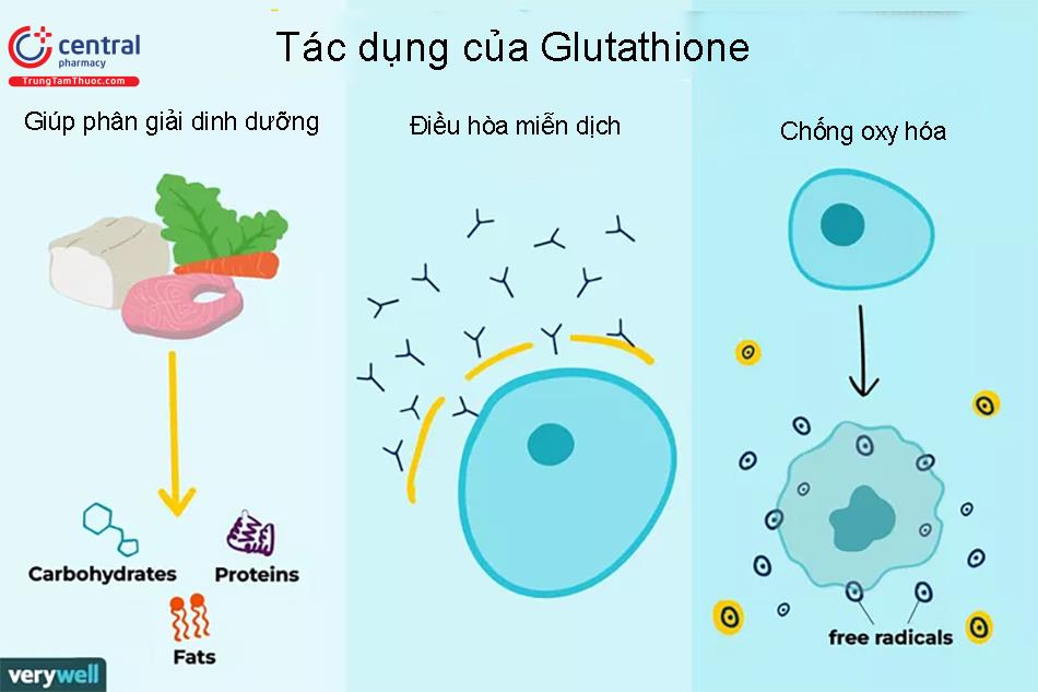 Tác dụng của Glutathione với cơ thể