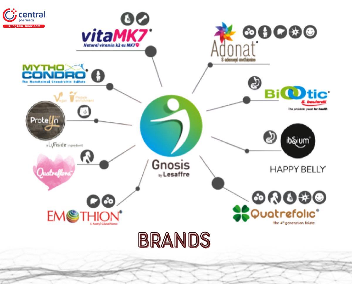 Gonsis's Brands