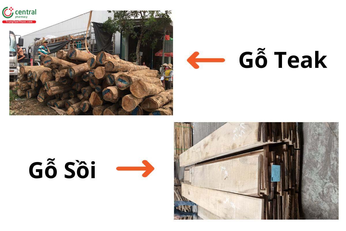 So sánh gỗ Teak với gỗ Sồi