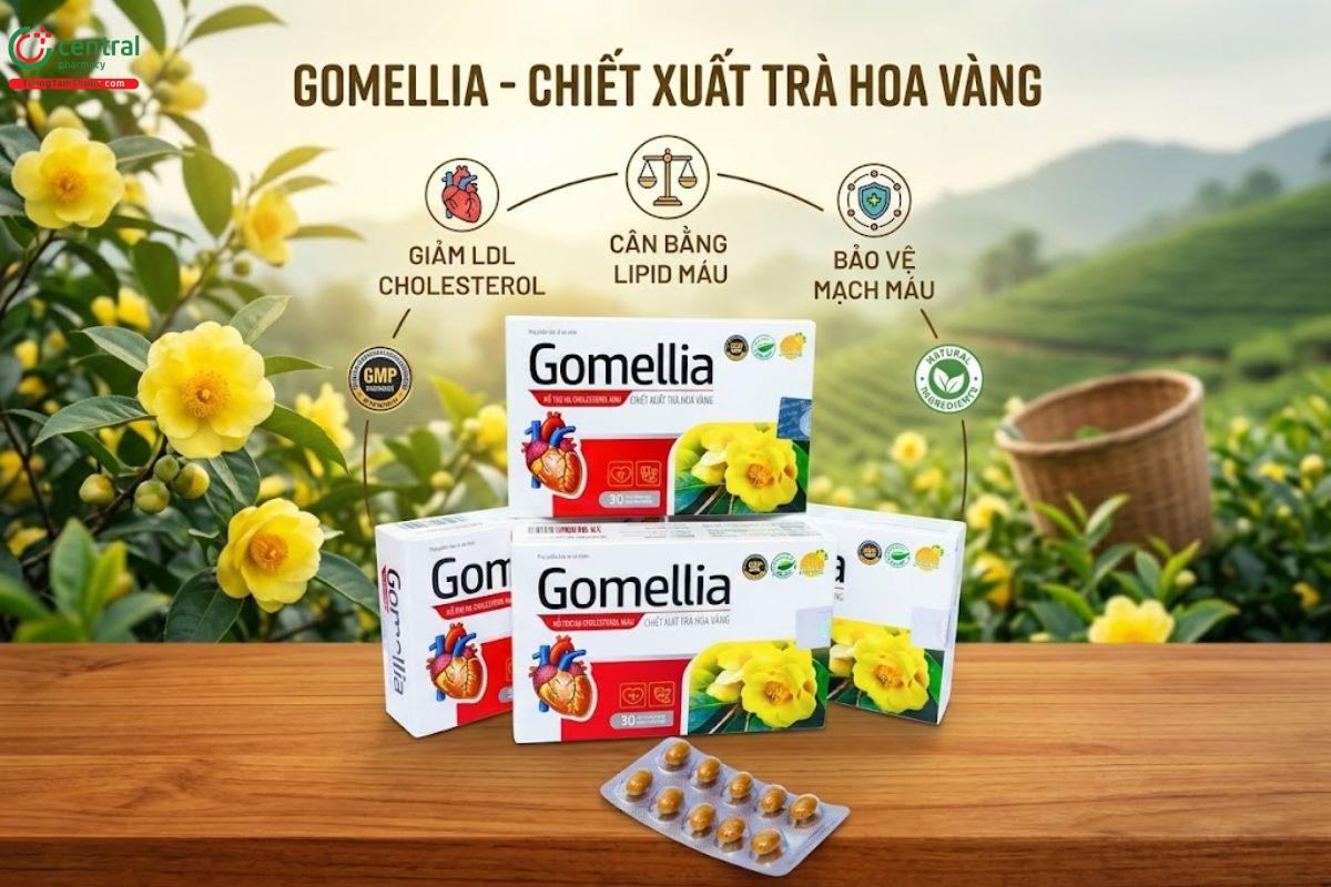 Gomellia giúp hạ lipid máu, ngăn ngừa hình thành cục máu đông