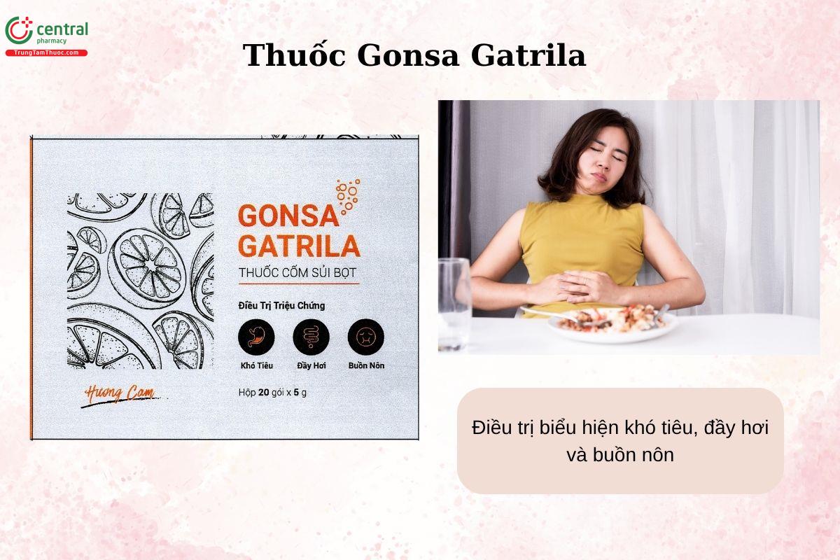 Chỉ định của thuốc Gonsa Gatrila
