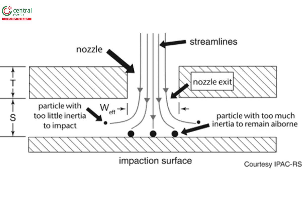 Figure 1. Generic single-stage impactor showing nozzle plate and collection surface located immediately below the plane of the nozzle exit. Several consecutive stages connected together with nozzle sizes that progressively get smaller constitutes a cascade impactor.