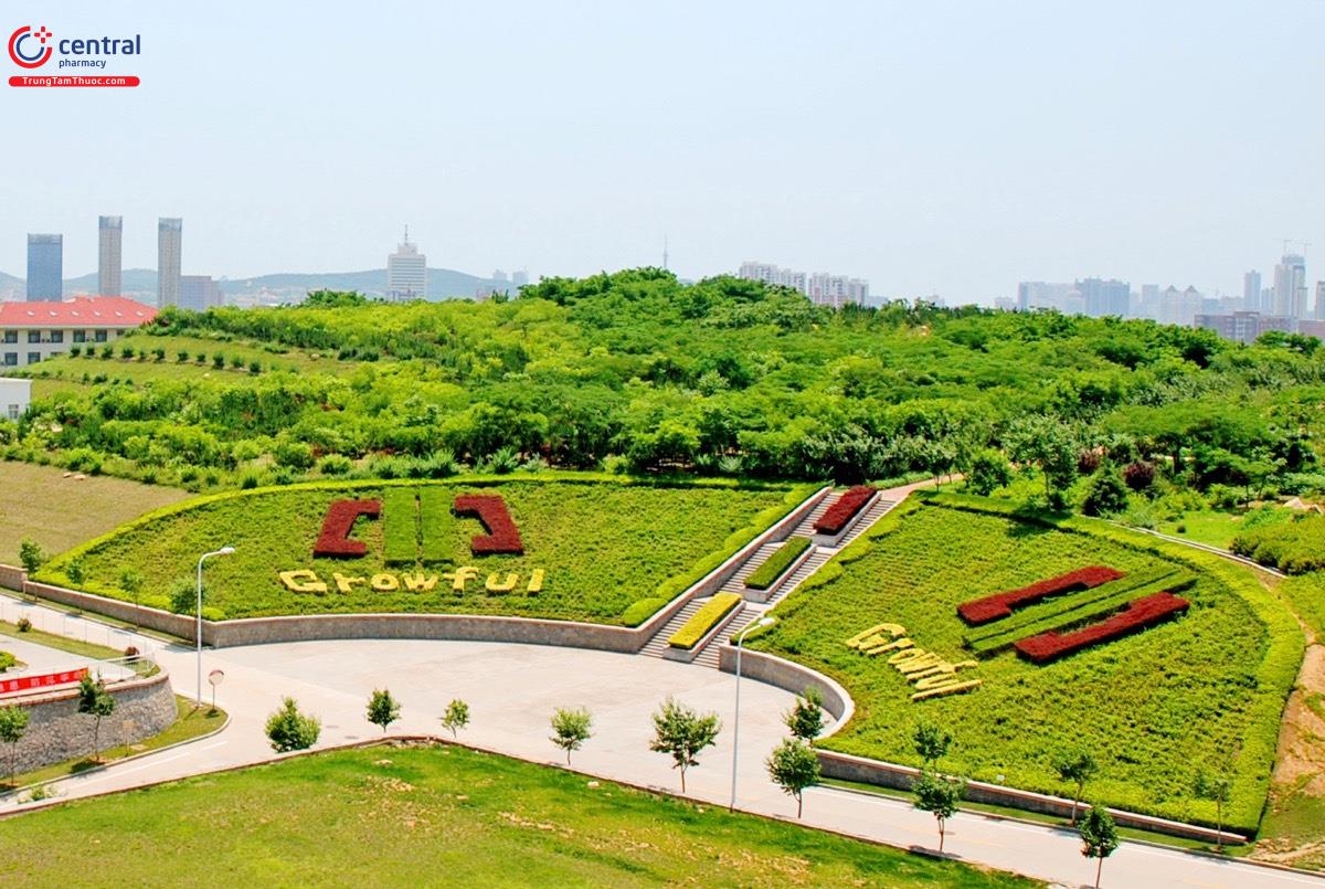 Công viên lịch sử của Qingdao Guofeng Pharmaceutical