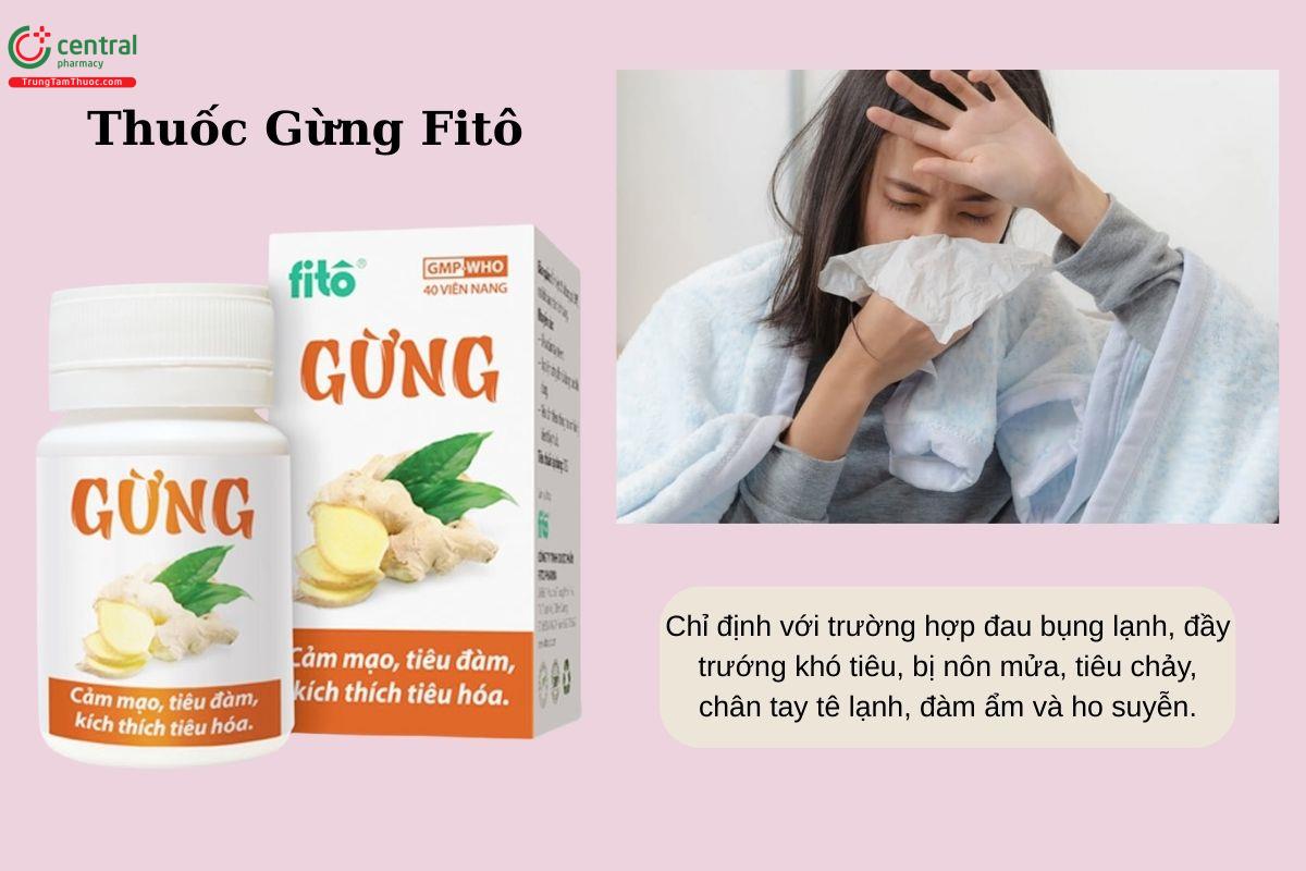 Chỉ định của thuốc Gừng Fitô