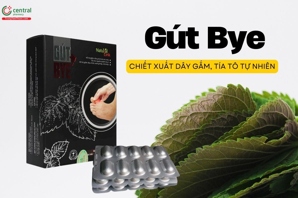 Gút Bye Natural Link giải quyết các triệu chứng ở người mắc bệnh Gout