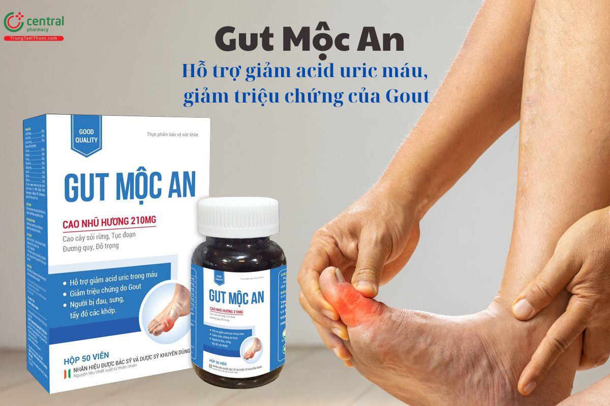 Gut Mộc An giảm acid uric máu, giảm triệu chứng do Gout