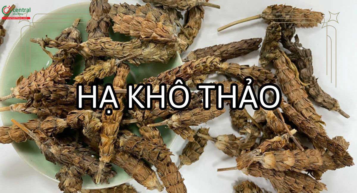 Hạ khô thảo