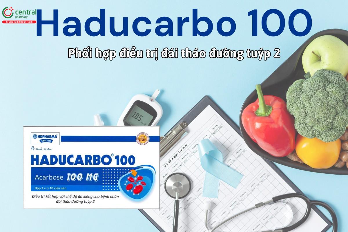 Thuốc Haducarbo 100 điều trị đái tháo đường tuýp 2 không phụ thuộc insulin