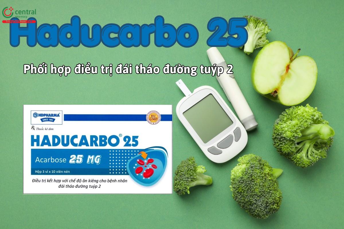 Thuốc Haducarbo 25 phối hợp trong điều trị bệnh đái tháo đường tuýp 2