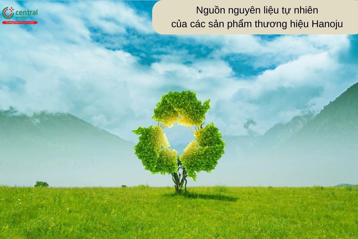 Hanoju - thương hiệu về các sản phẩm hữu cơ