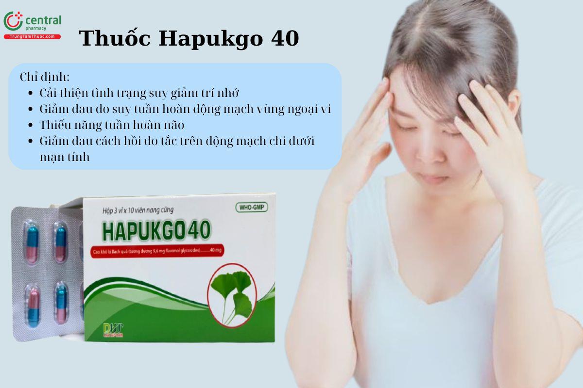 Chỉ định của thuốc Hapukgo 40