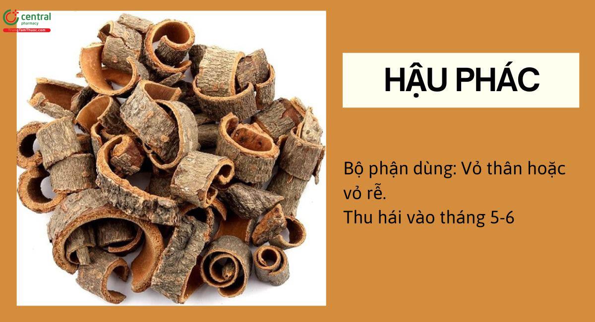 Hậu Phác