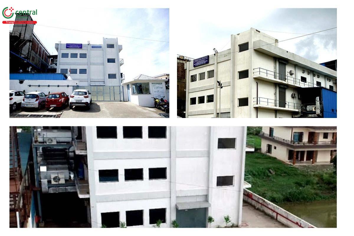 Điểm nổi bật của Healthwise Pharma