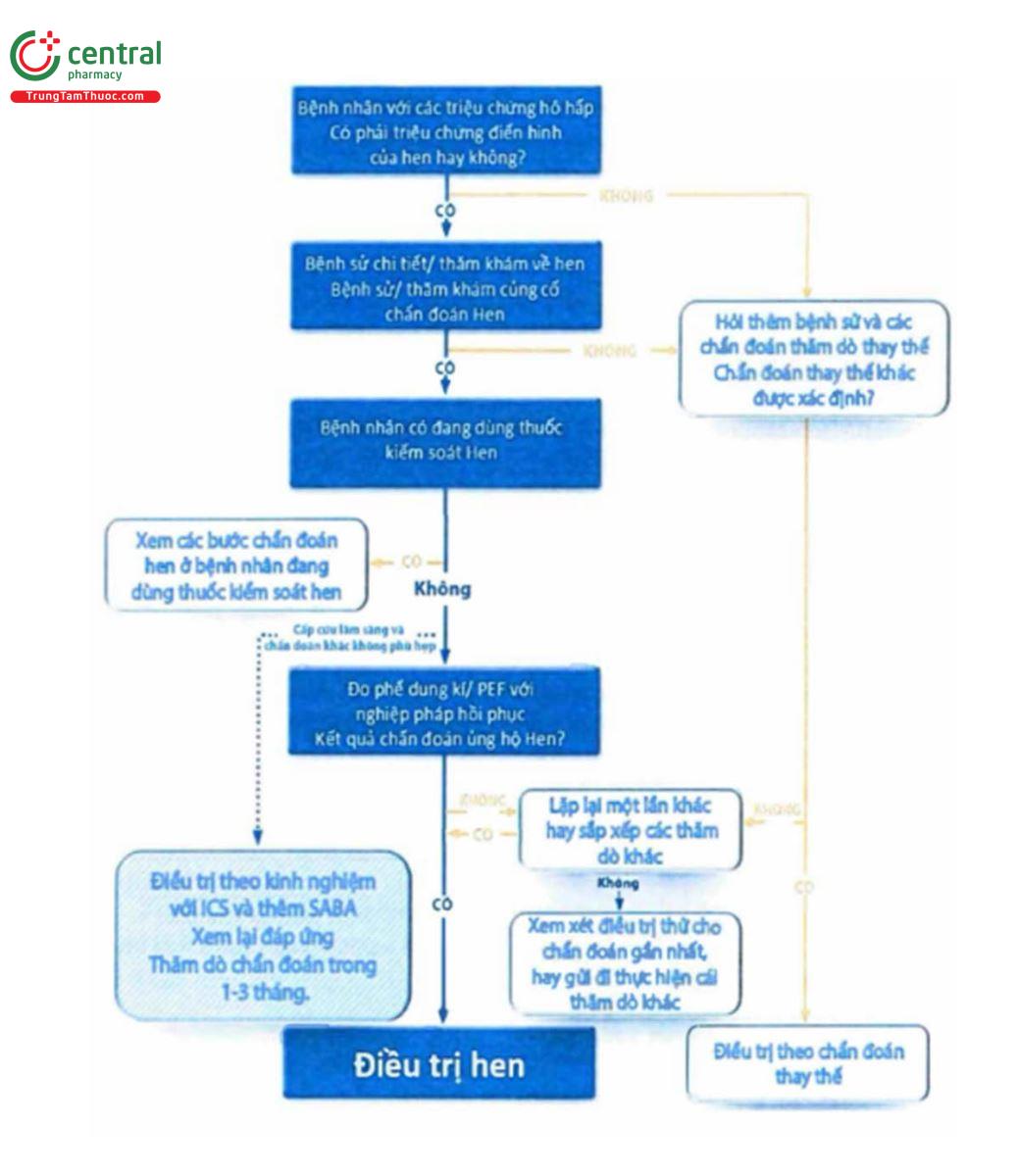 Sơ đồ chẩn đoán hen phế quản trong thực hành lâm sàng