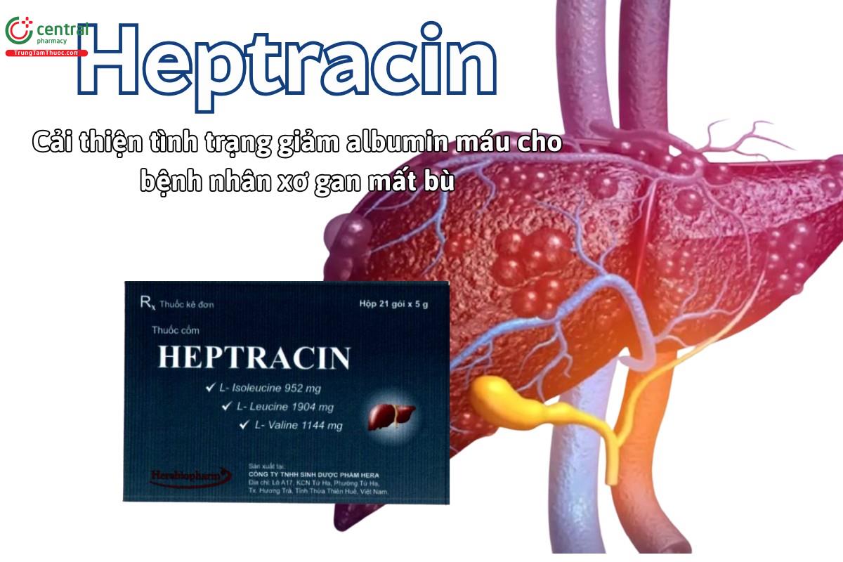 Thuốc Heptracin cải thiện tình trạng giảm albumin máu trong xơ gan mất bù