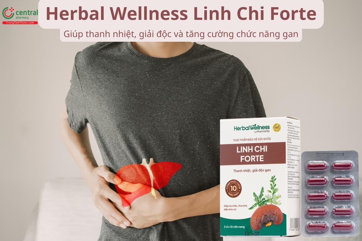 Herbal Wellness Linh Chi Forte hỗ trợ tăng cường chức năng gan