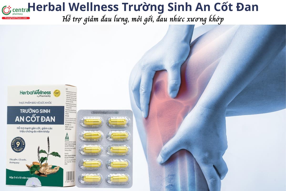 Herbal Wellness Trường Sinh An Cốt Đan hỗ trợ mạnh gân cốt, giảm đau xương khớp