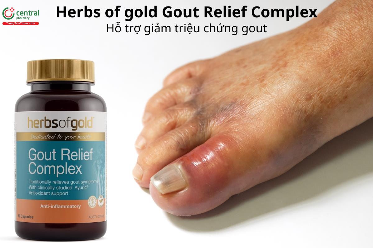 Herbs of gold Gout Relief Complex hỗ trợ giảm triệu chứng gout