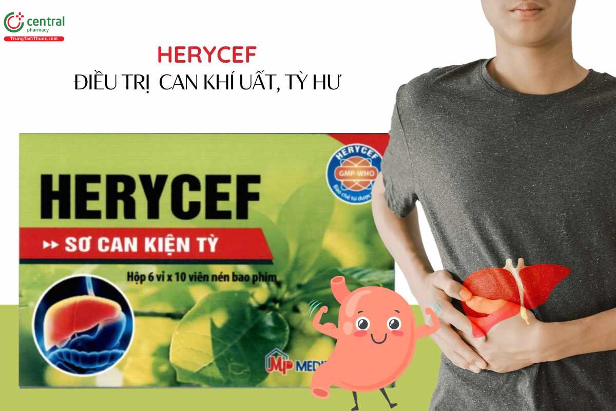 Chỉ định của Thuốc Herycef