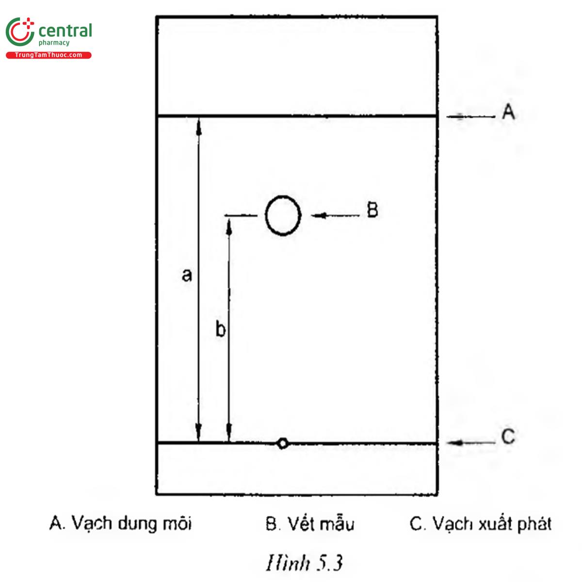 Hình 5.3