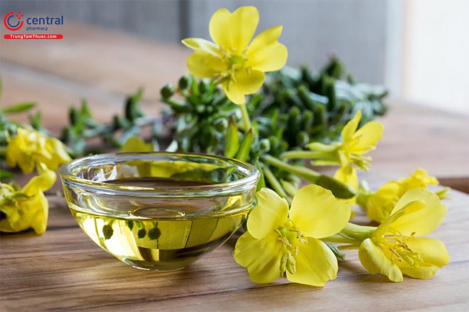 Tinh dầu Hoa anh thảo được sử dụng trong nhiều chế phẩm chăm sóc sắc đẹp