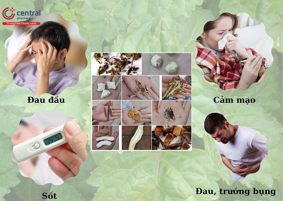 Tác dụng của bài thuốc Hoắc hương chính khí tán