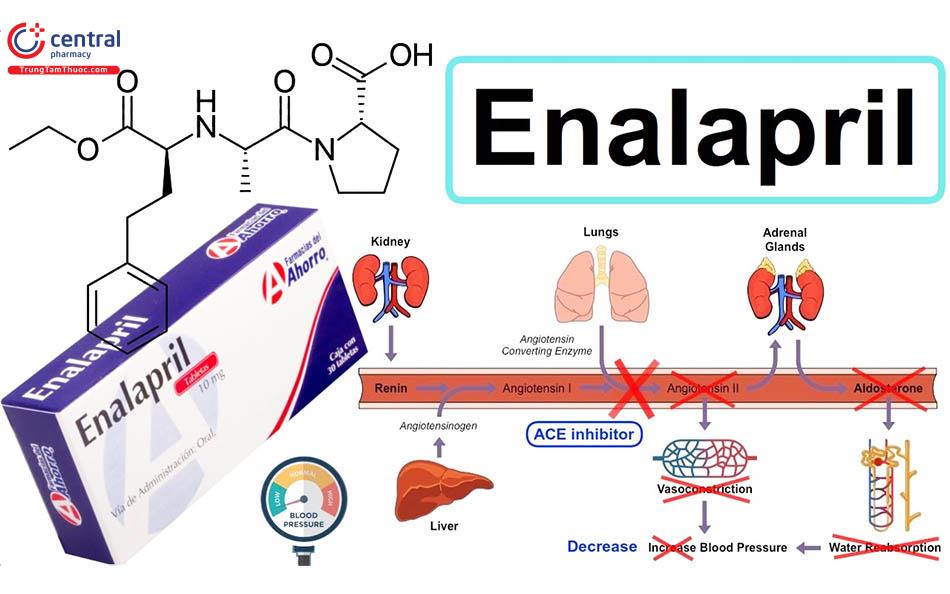 Hình 1: Hoạt chất Enalapril