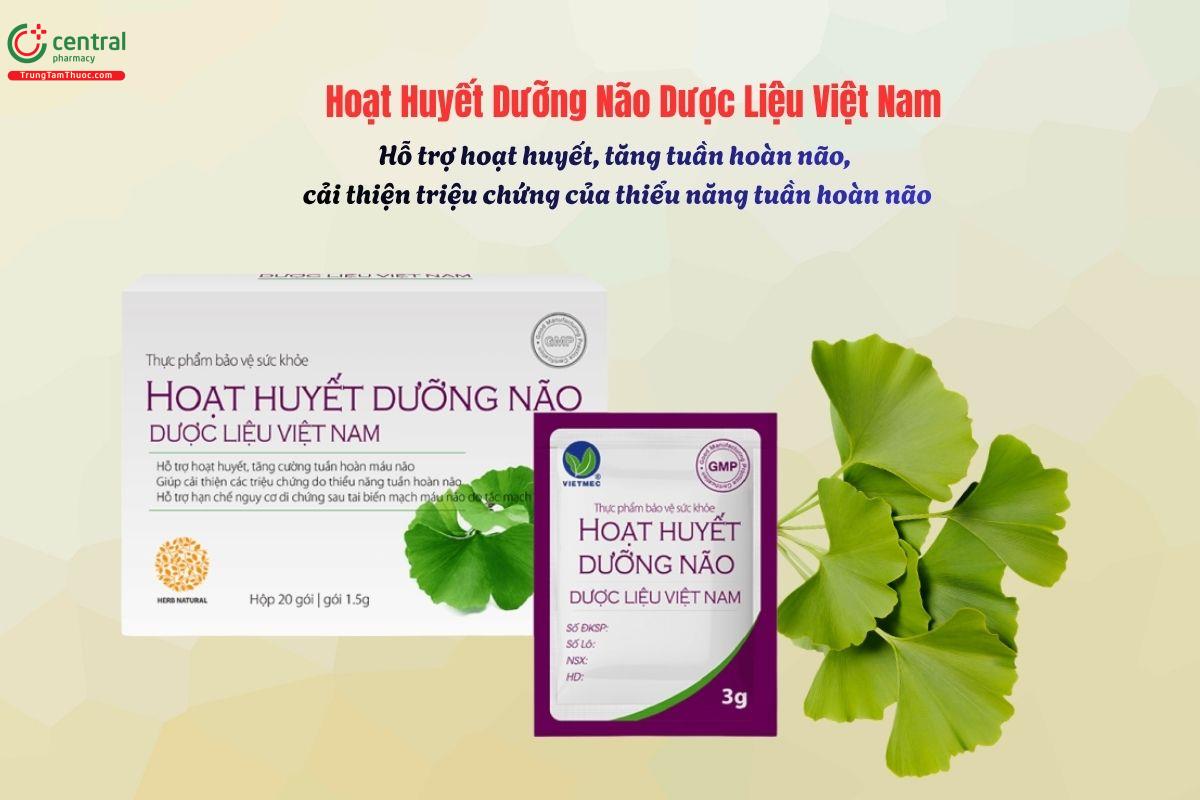 Hoạt Huyết Dưỡng Não Dược Liệu Việt Nam - Tăng tuần hoàn máu não