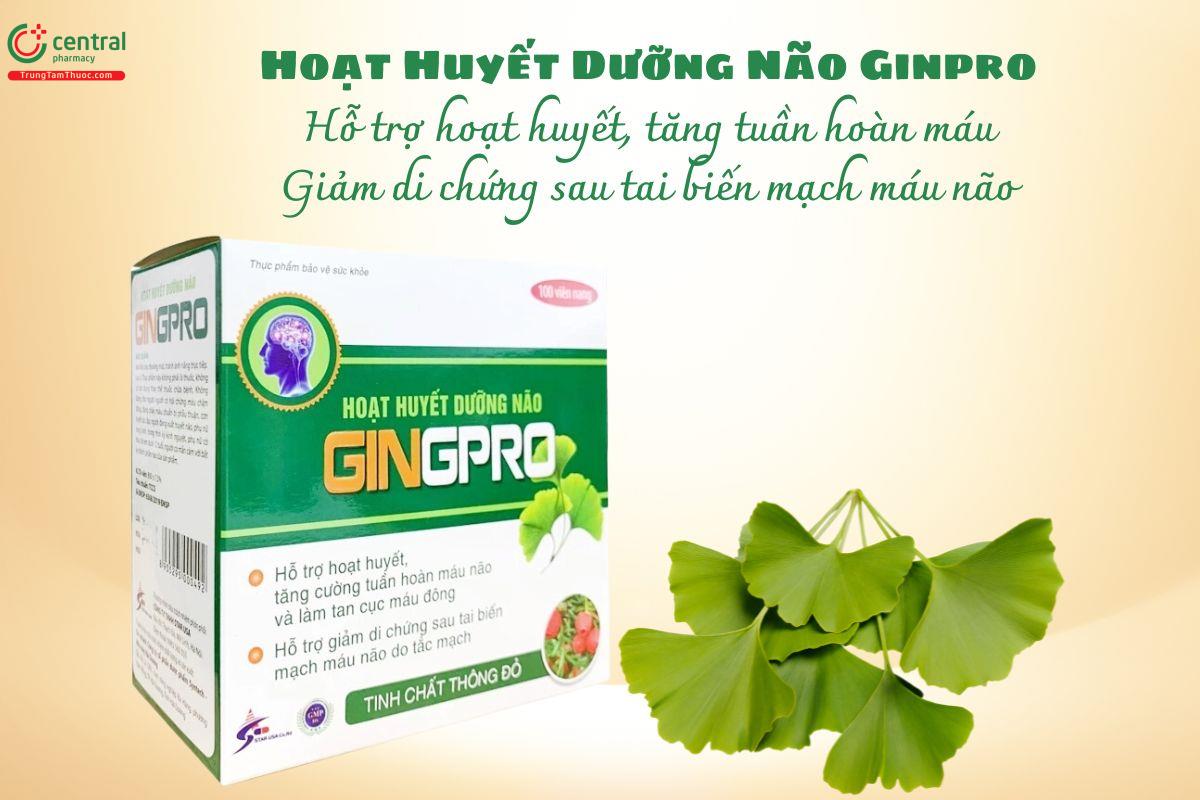 Hoạt Huyết Dưỡng Não Gingpro - Hoạt huyết, giảm di chứng sau tai biến