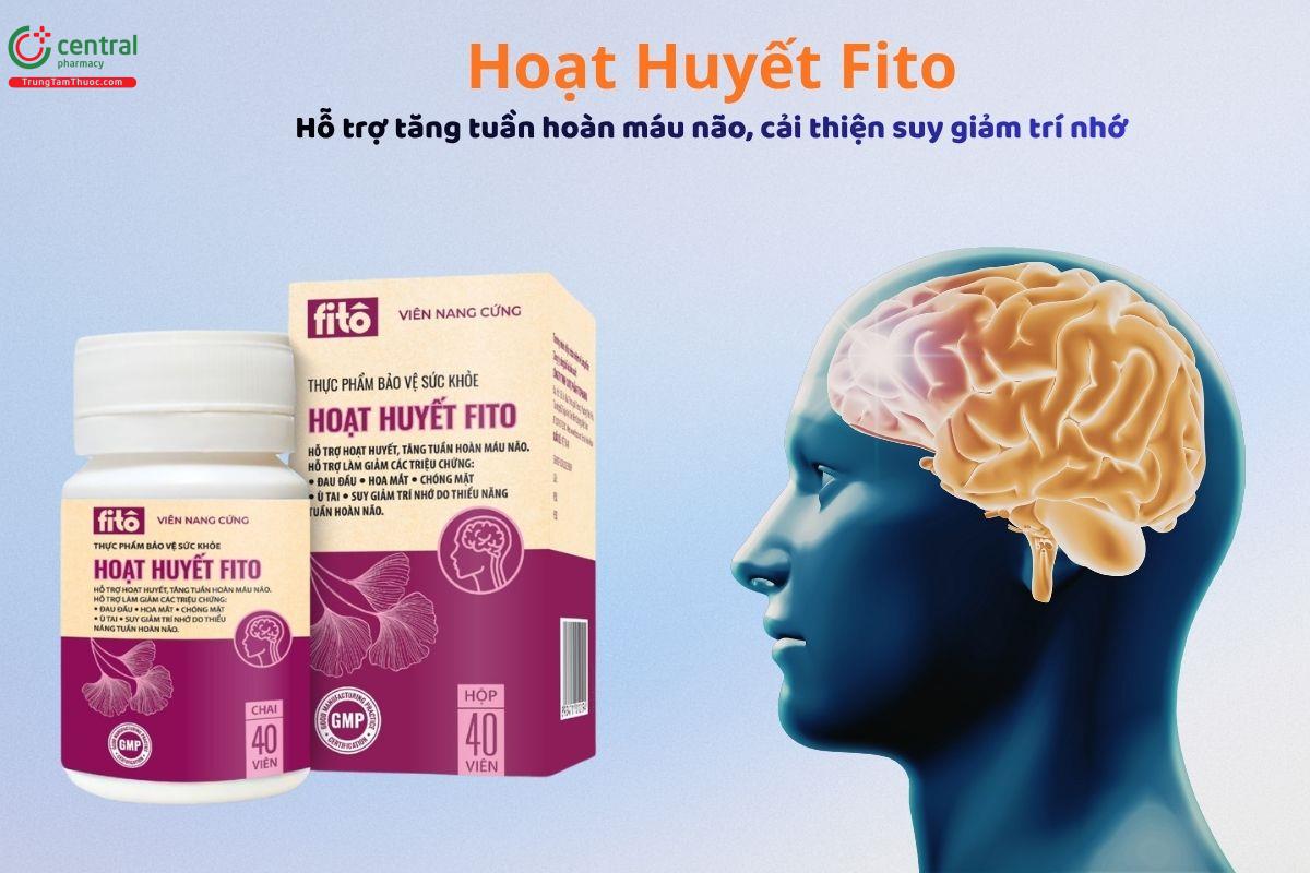 Hoạt Huyết Fito - Tăng tuần hoàn não, giảm đau đầu, chóng mặt, ù tai
