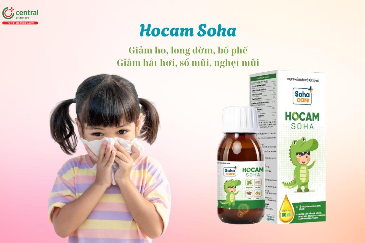 Hocam Soha hỗ trợ làm giảm triệu chứng của cảm lạnh, cảm cúm
