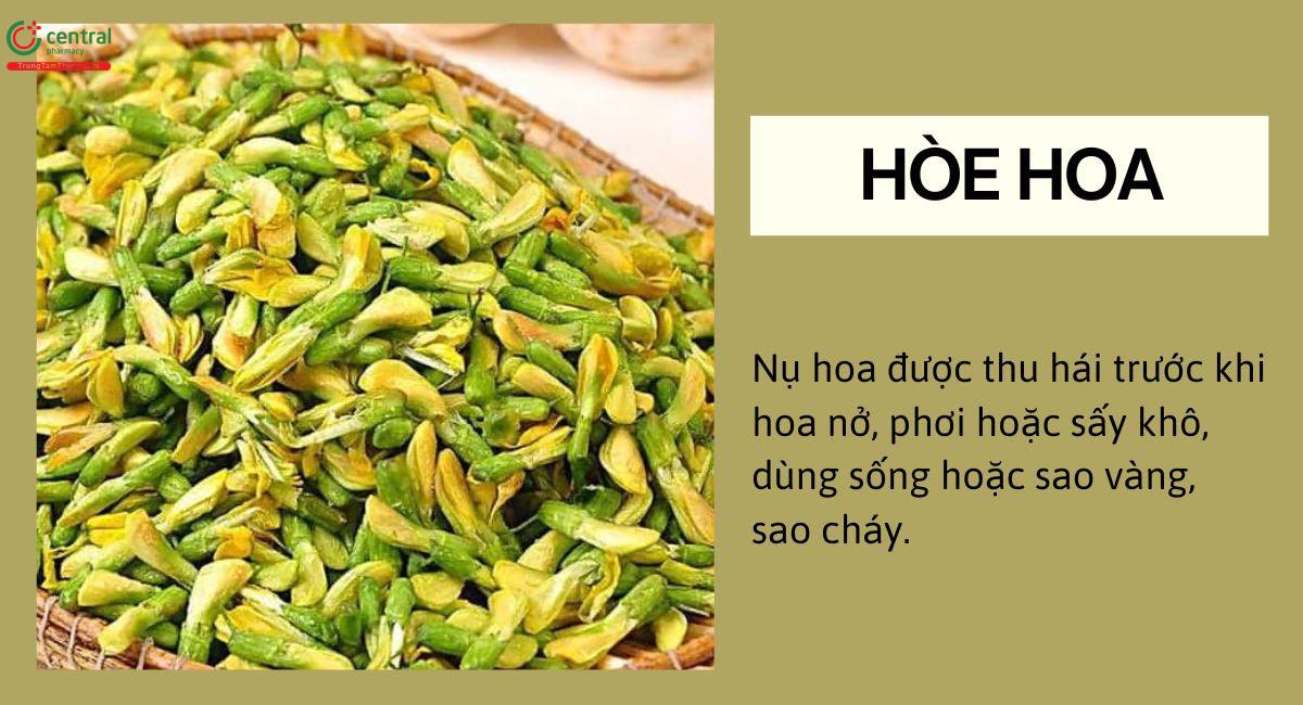 Hòe hoa