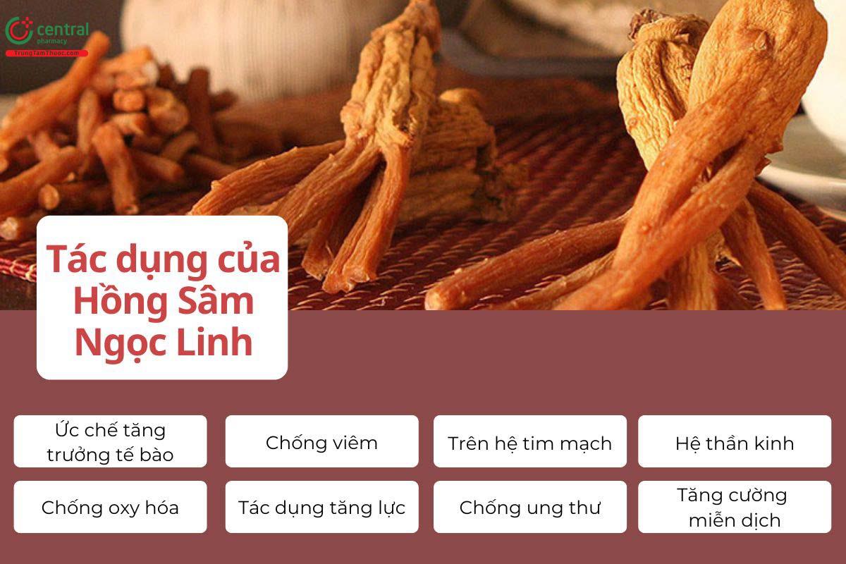 Tác dụng của Hồng sâm Ngọc Linh