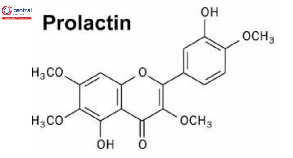 Prolactin cấu trúc