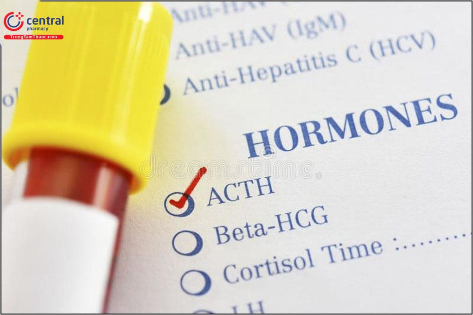 Hormon ACTH