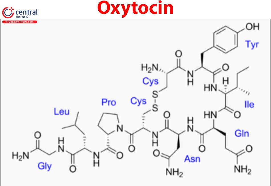 Cấu trúc của Oxytocin