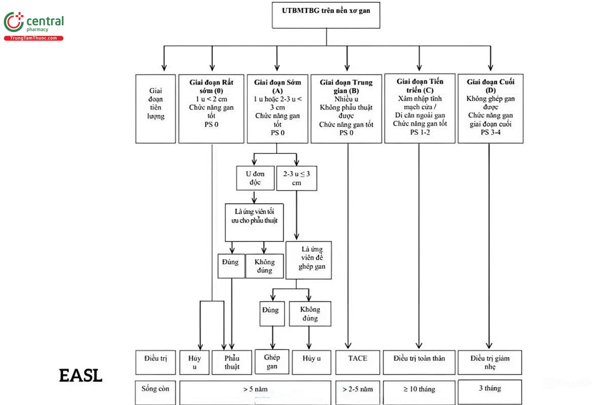 hướng dẫn điều trị của EASL