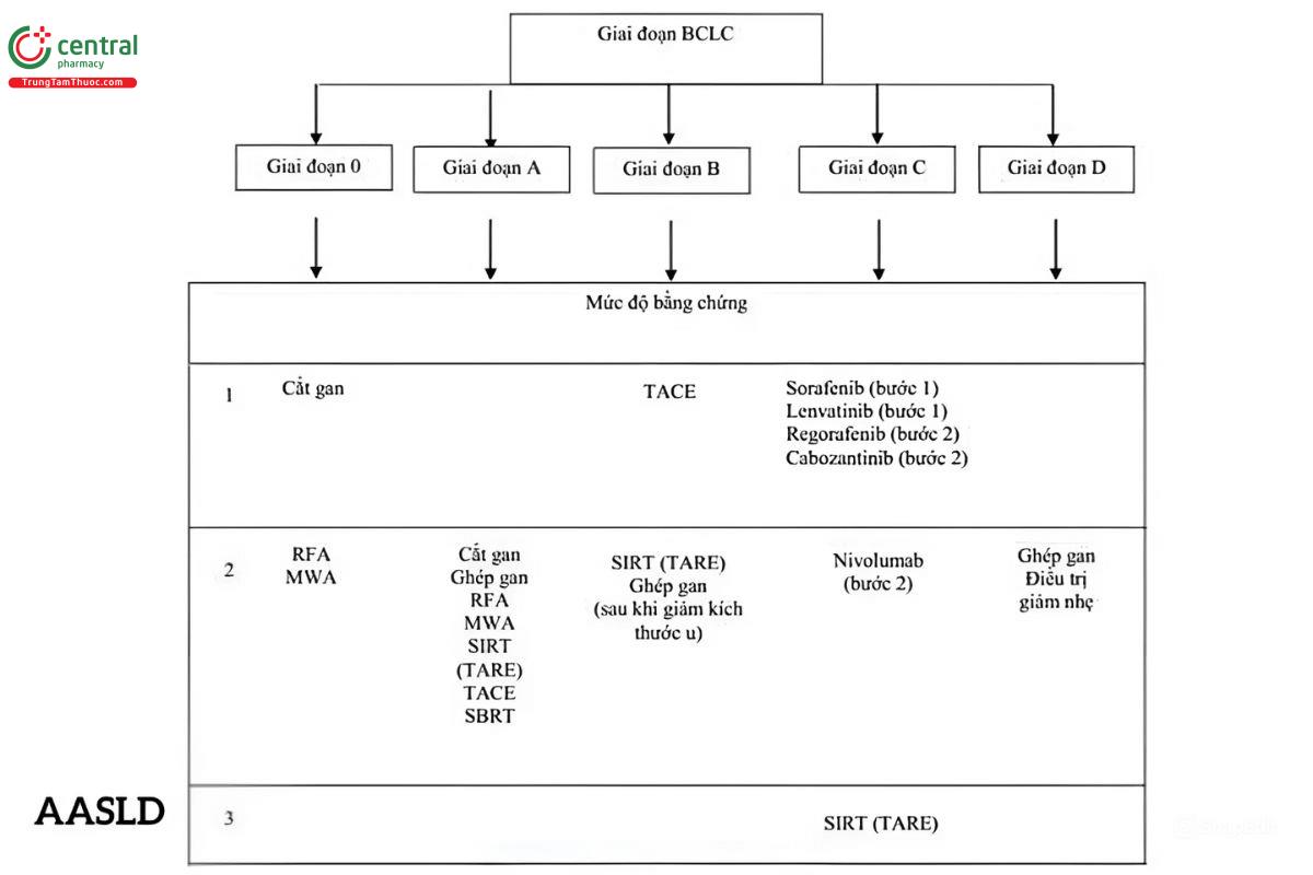 Hướng dẫn điều trị của AASLD