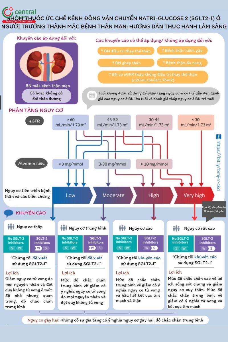 Nhóm thuốc ức chế đồng vận chuyển natri-glucose 2 (SGLT2-i) ở người lớn mắc bệnh thận mạn