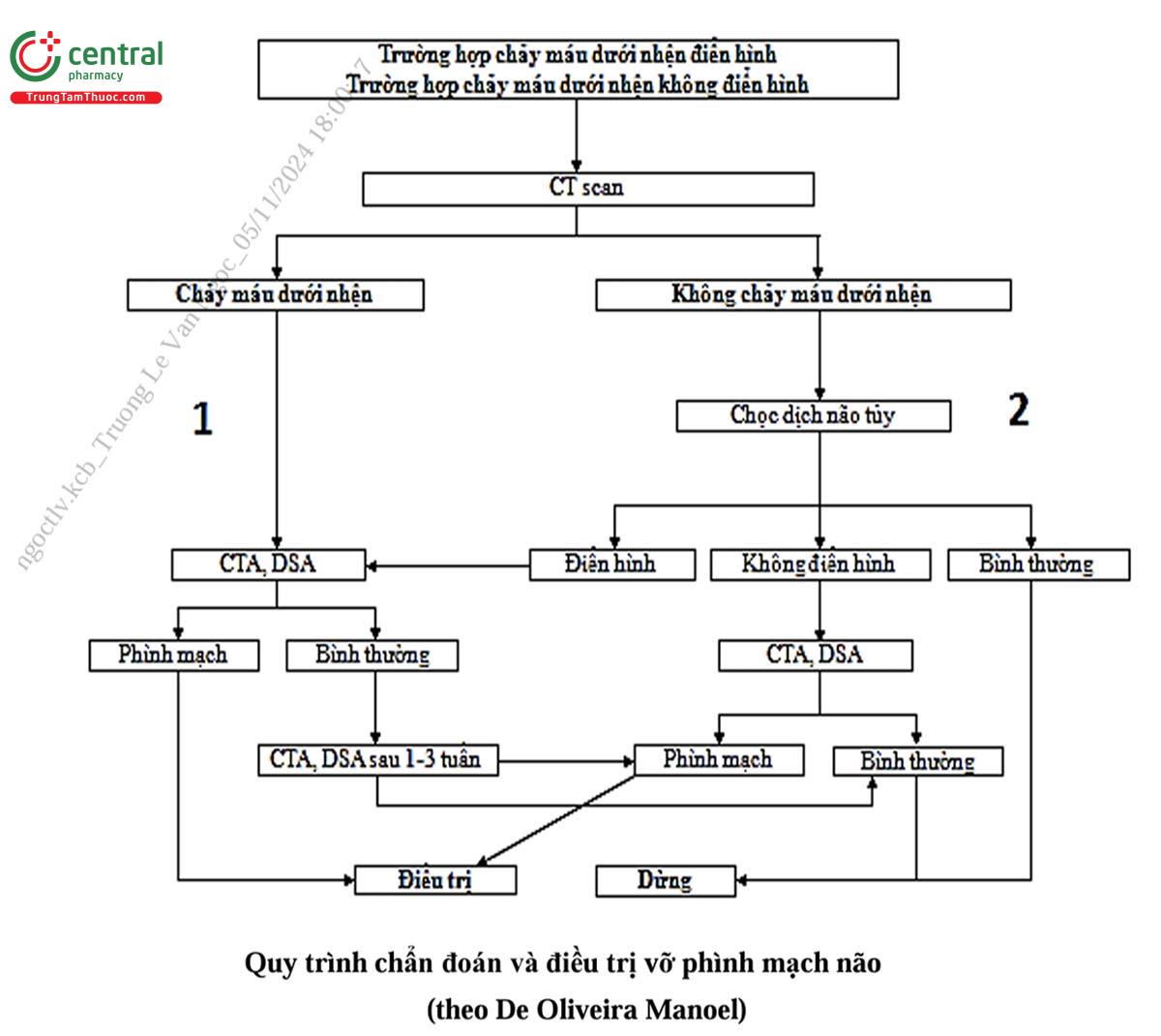 Quy trình chẩn đoán và điều trị vỡ phình mạch não (theo De Oliveira Manoel)