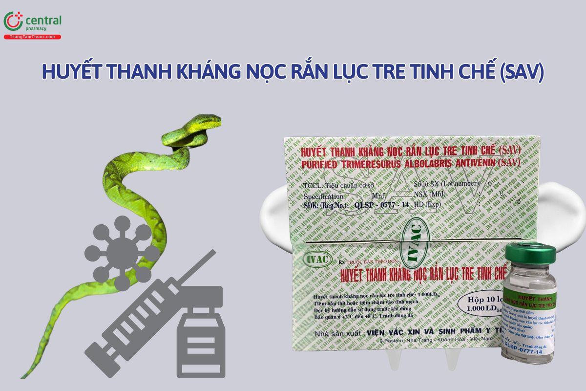 uyết thanh kháng nọc rắn lục tre tinh chế SAV